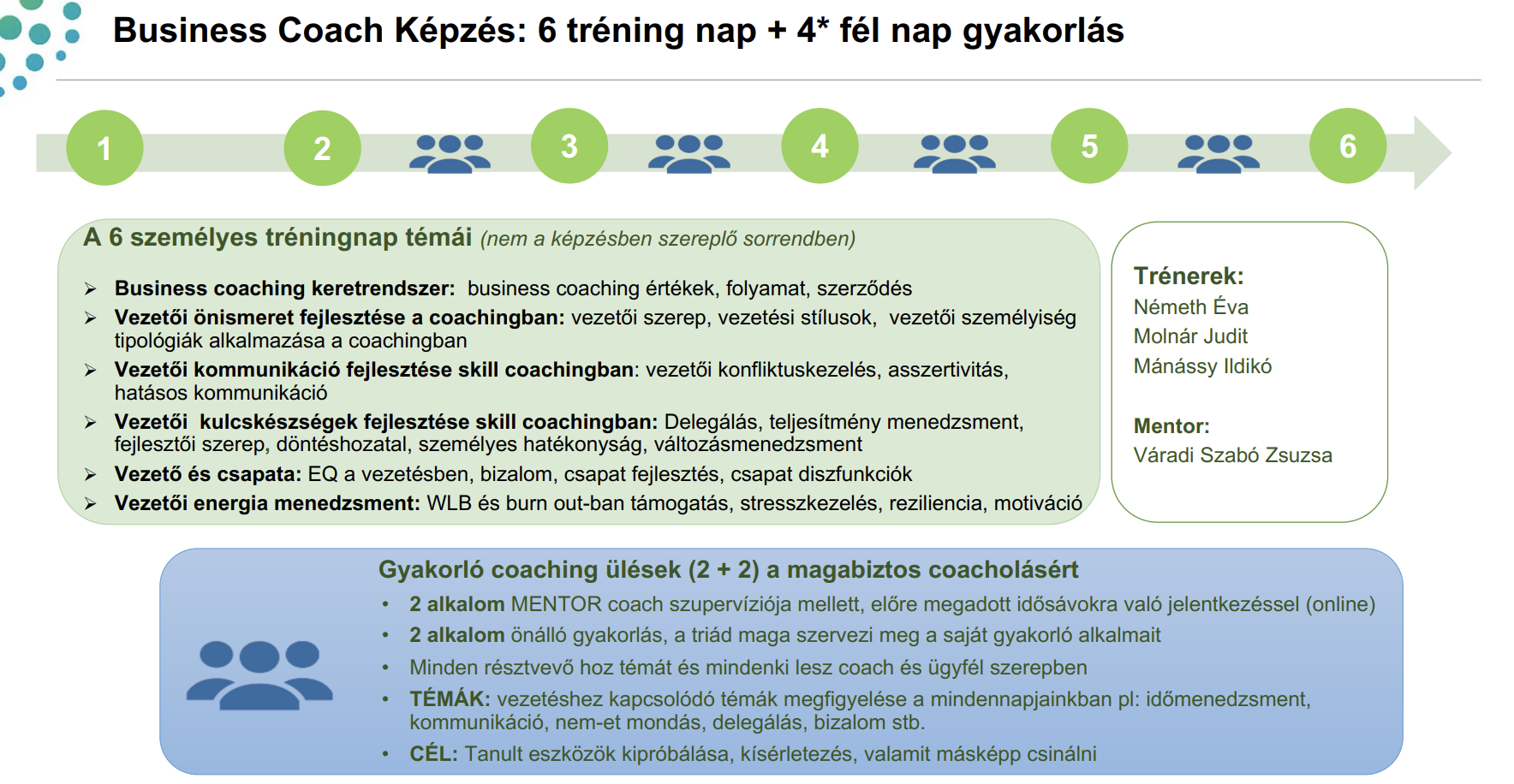 Business coach képzés
